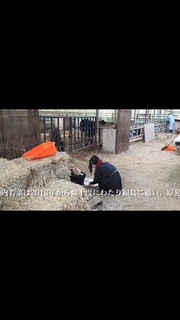 153EDB2C-288F-4A8E-BD1E-3CC7F79E2D0F.jpeg