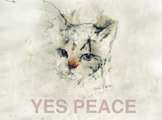 yes-b5588.jpeg